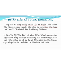 vùng trồng